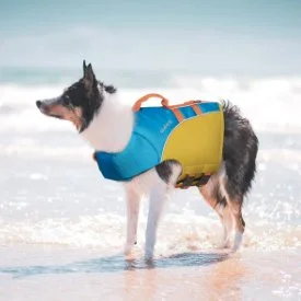 BP - Dog Life Jacket blue beach dog model.jpg