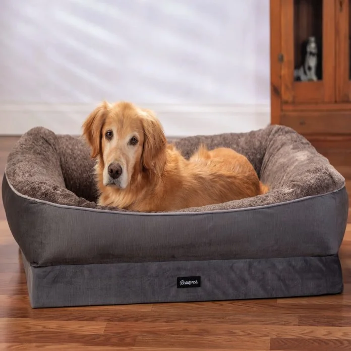 Beautyrest Ultra Plush Cuddler Petbed gray dog model golden.jpg