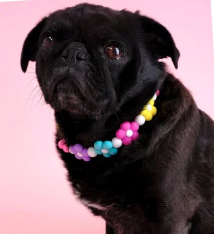MG Flower Beaded MULTI Dog Necklace.jpg