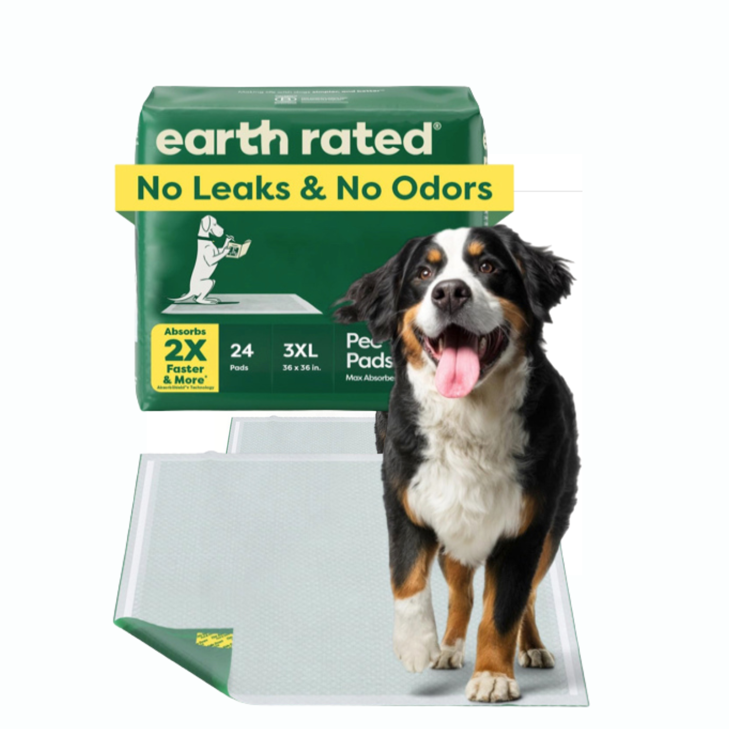 Earth Rated XXXL pads 24ct Saint B dog model.png