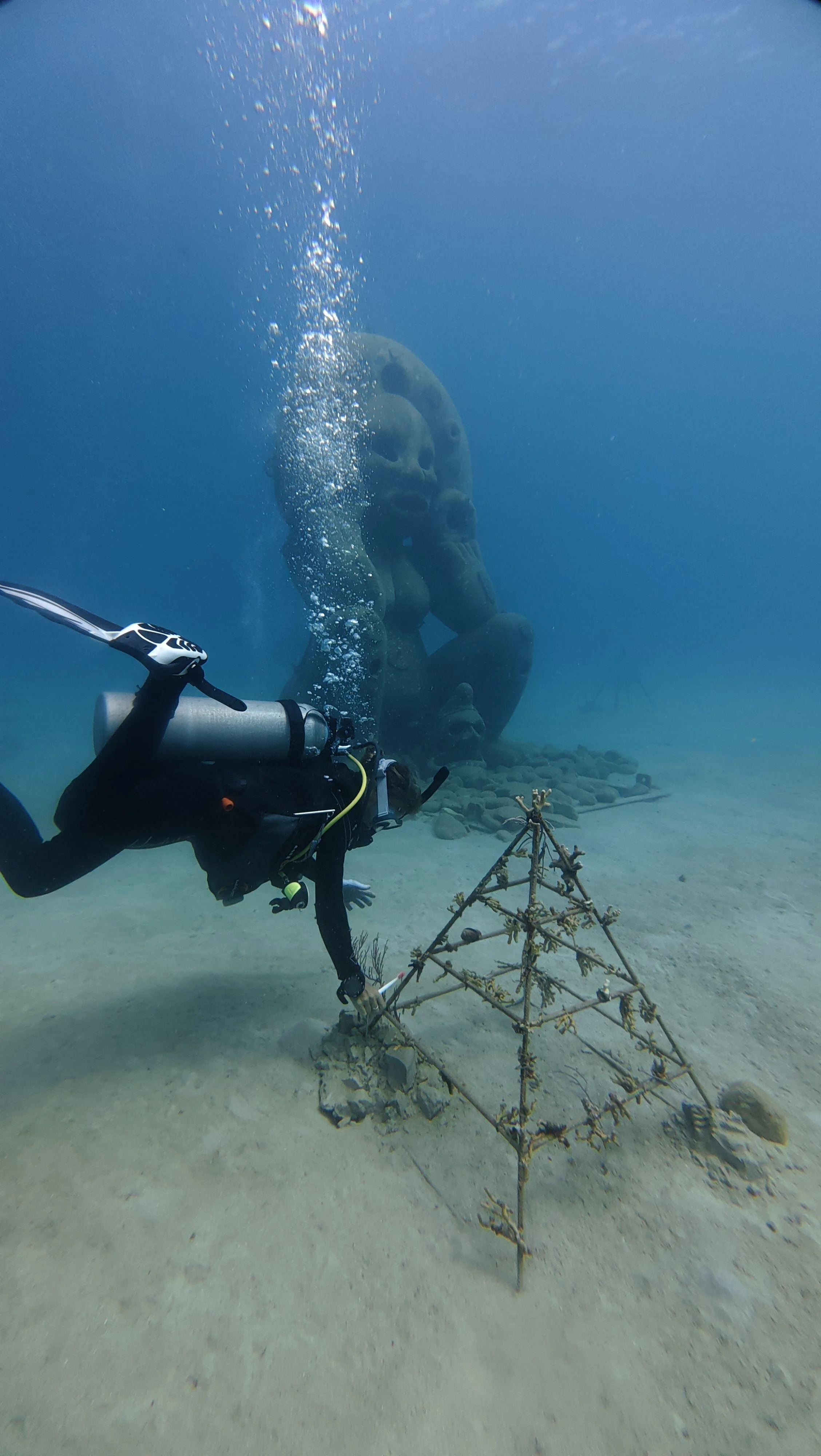 WhatsApp Image 2025-11-06 at 16.01.36.jpeg