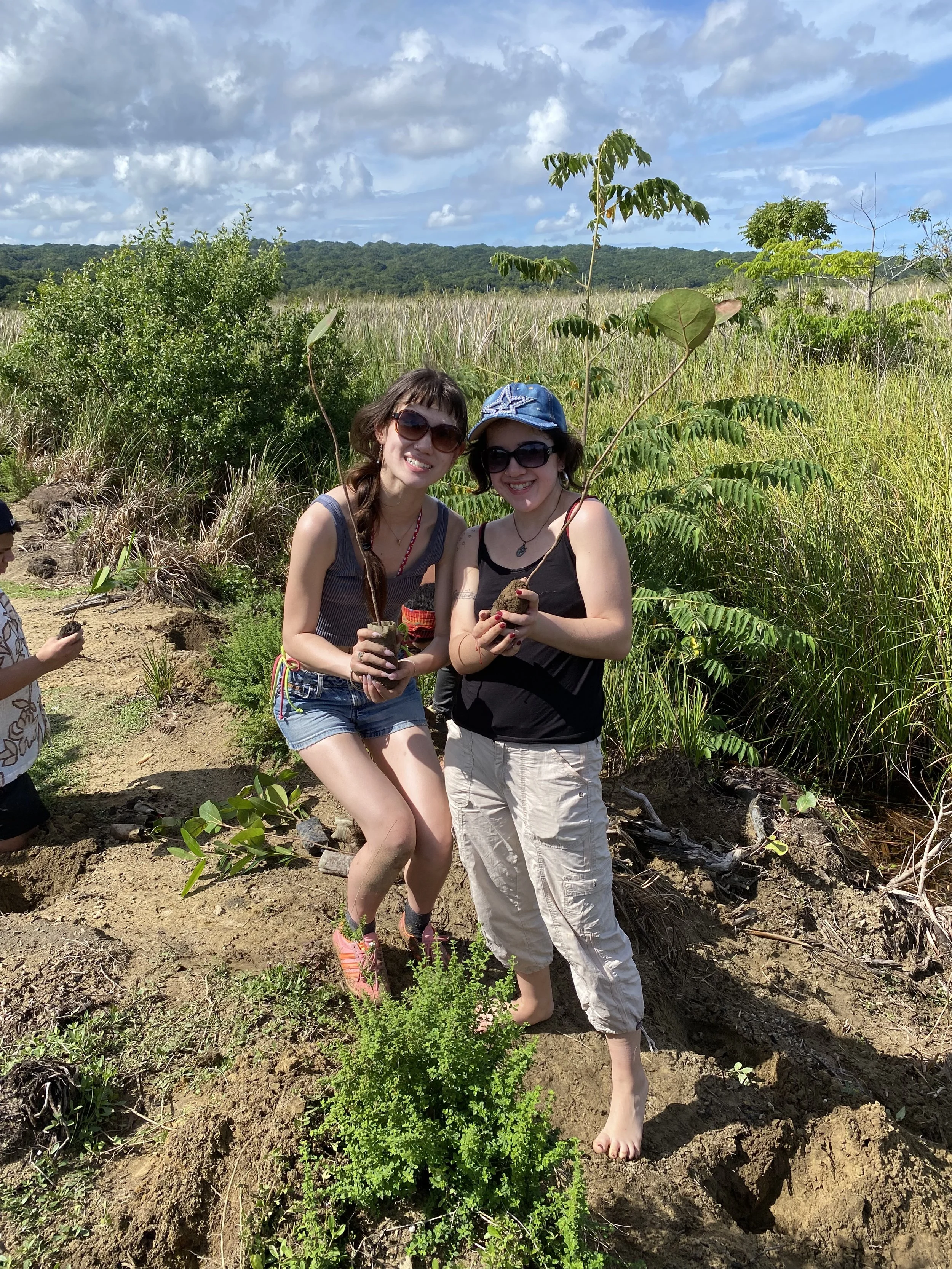 NYU Students Join Coastal Restoration in Dominican Republic