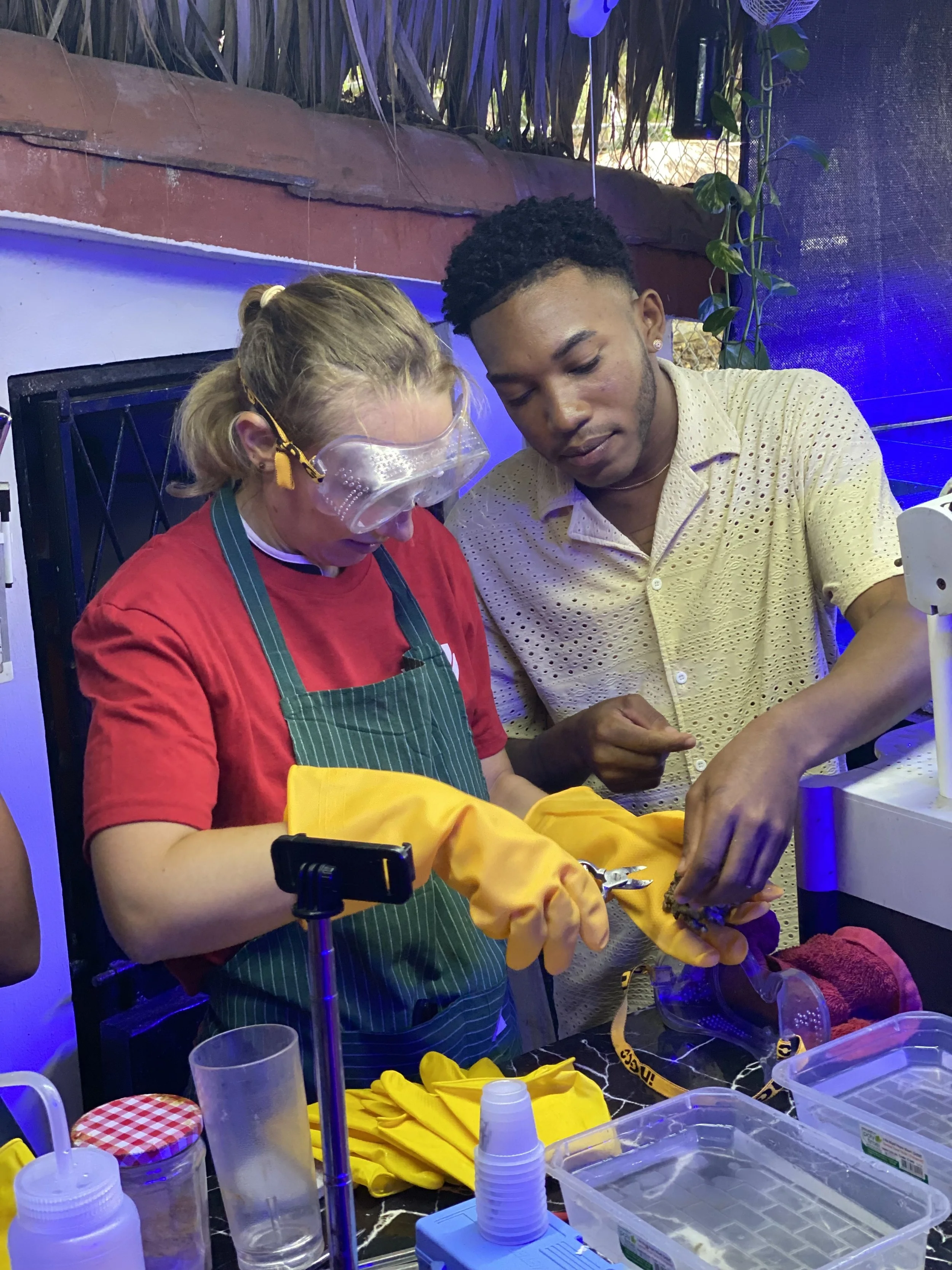 Restoring Coral Together with Virgin Voyages