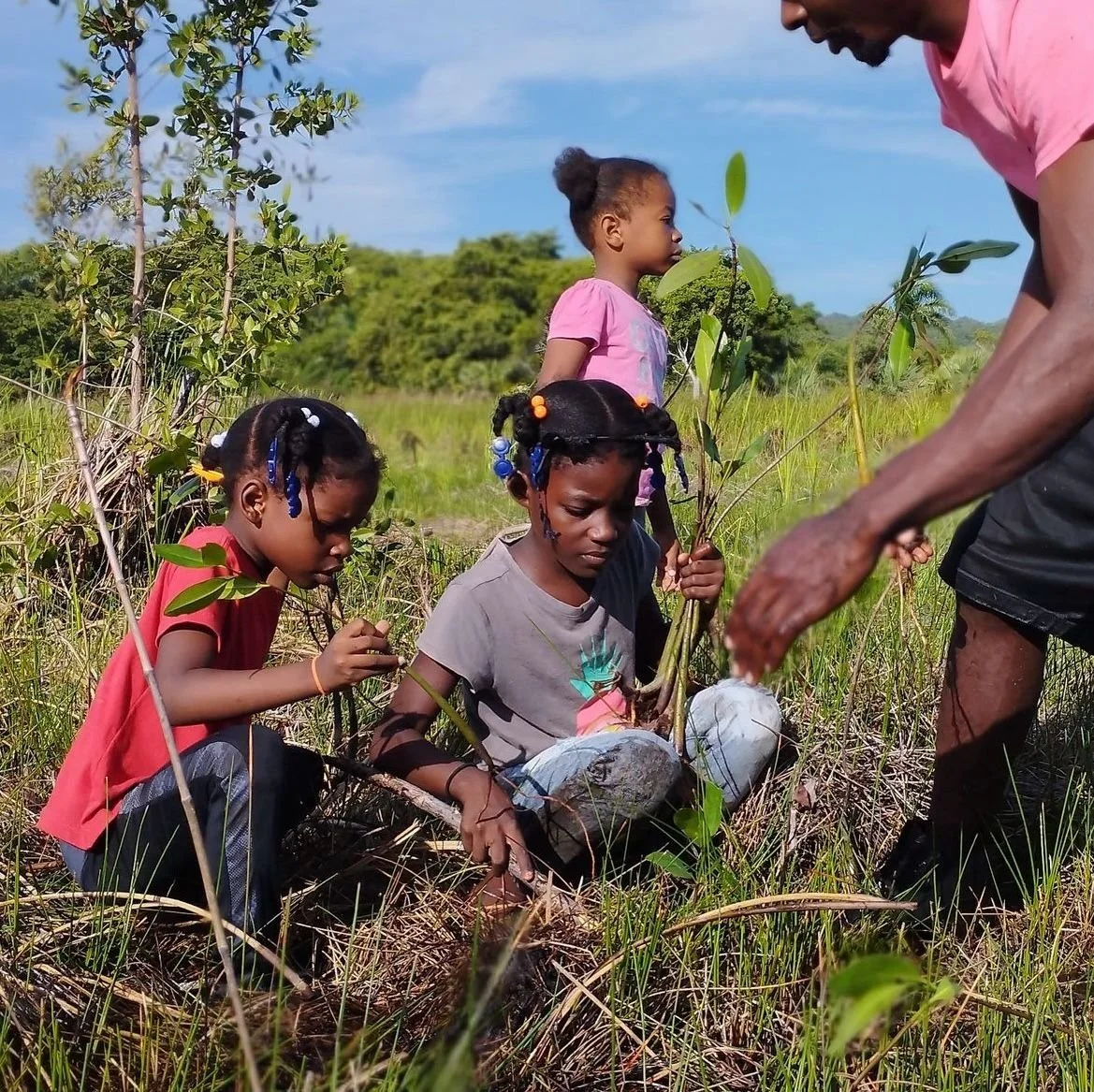 WhatsApp Image 2025-02-28 at 17.45.29.jpeg