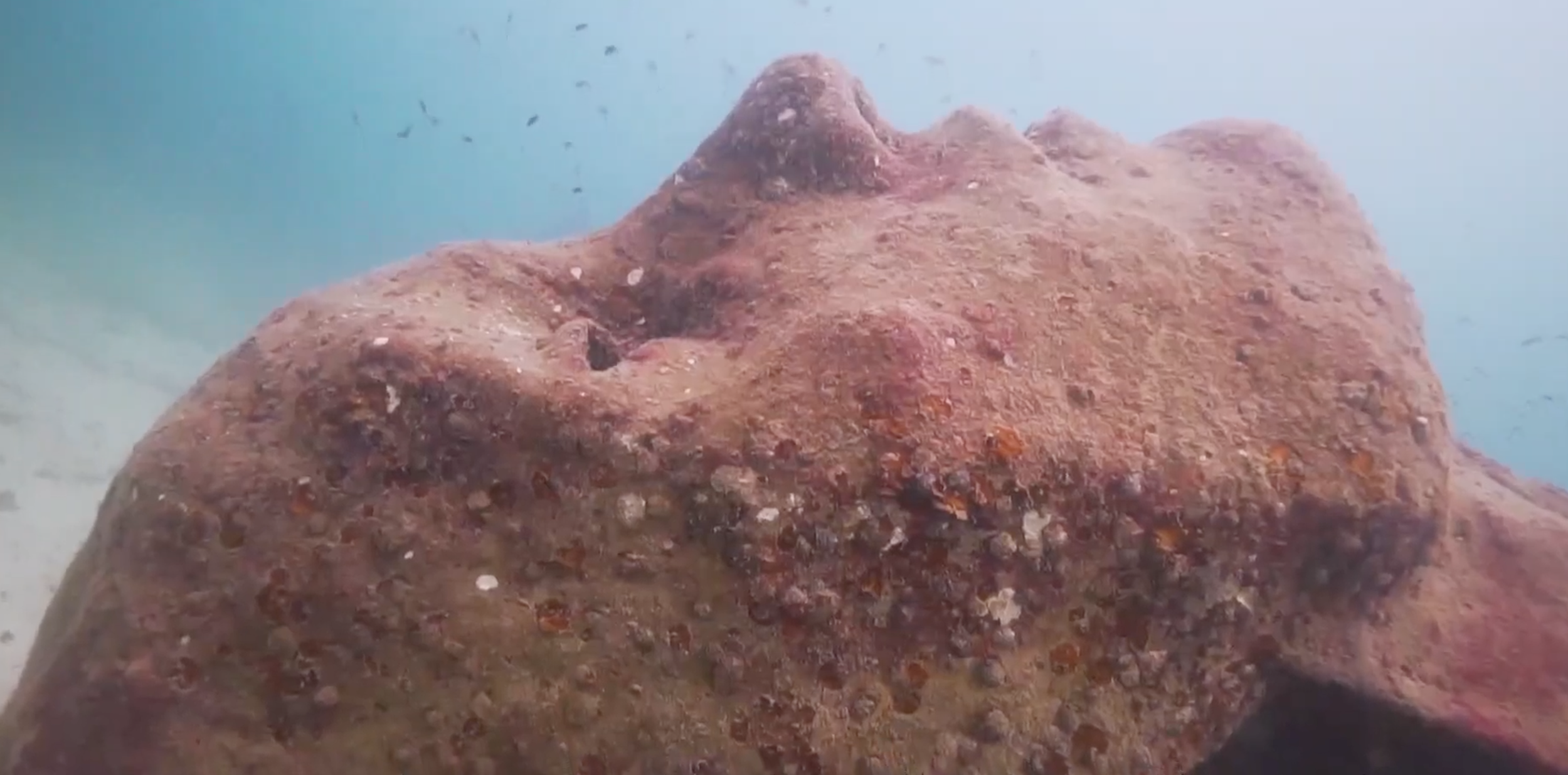 Screenshot 2024-12-08 at 1.22.56 AM.png