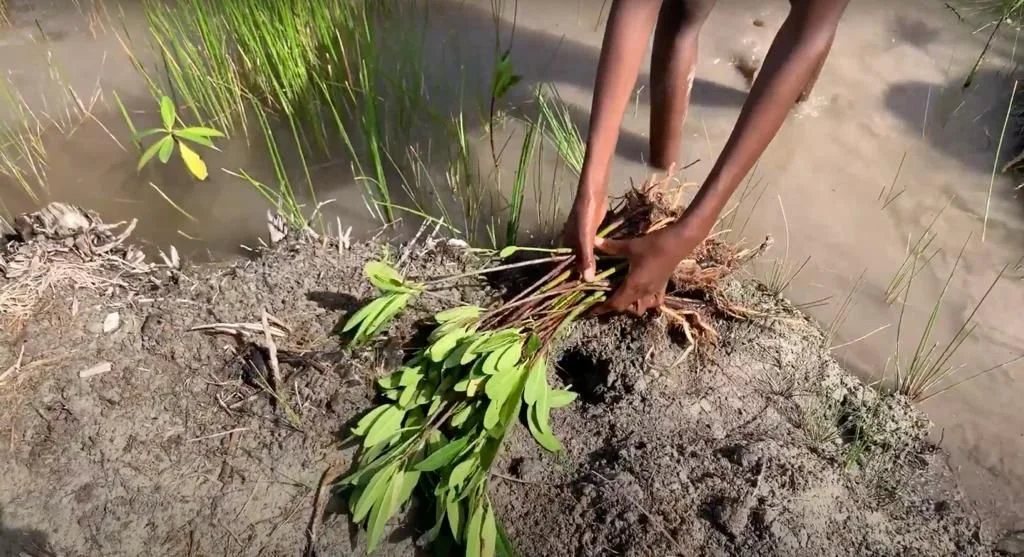 WhatsApp Image 2025-02-28 at 17.45.28 (1).jpeg