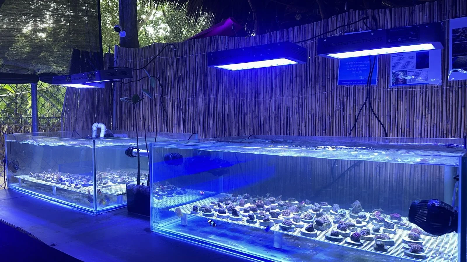 cc941e37-2361-491c-8959-552465b8c335 2.JPG