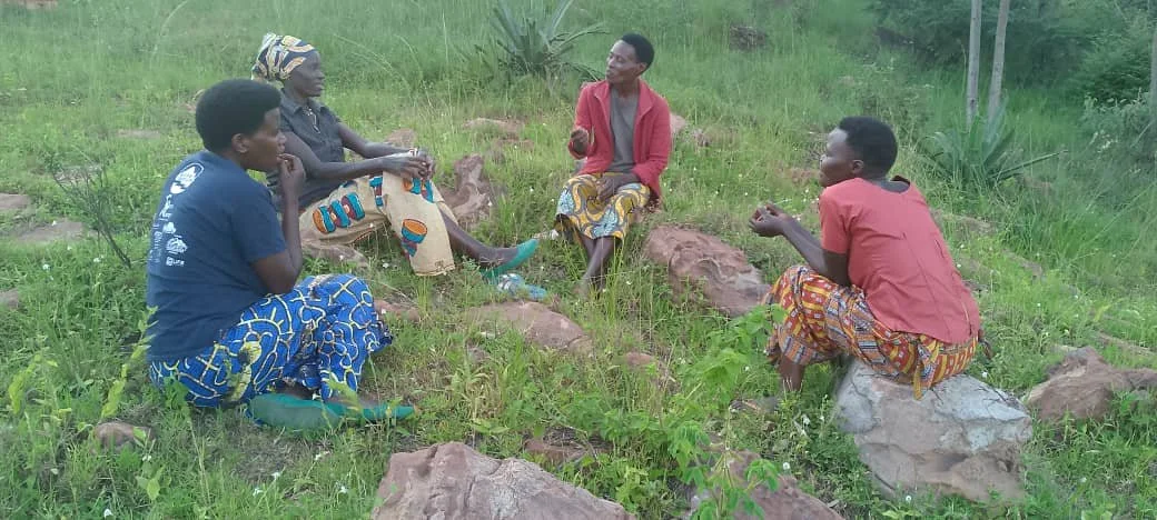 Tree of Life Narrative