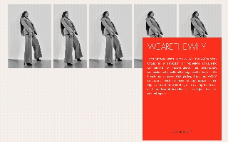 AZIZA Work Group — Web Design