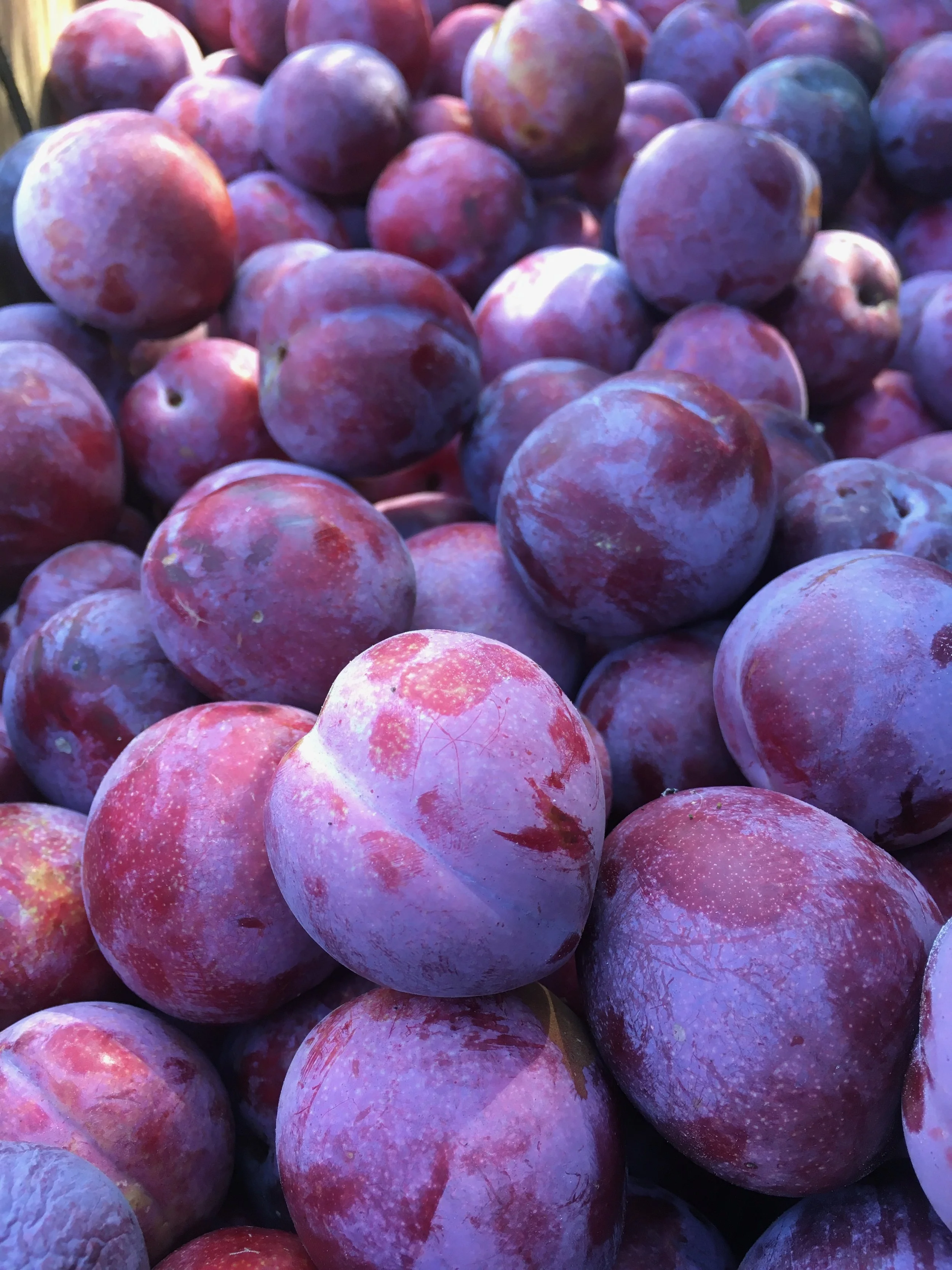 Plums - Satsuma 2kg