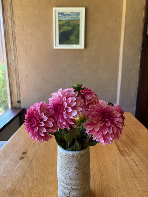Pink Frilly vase.png