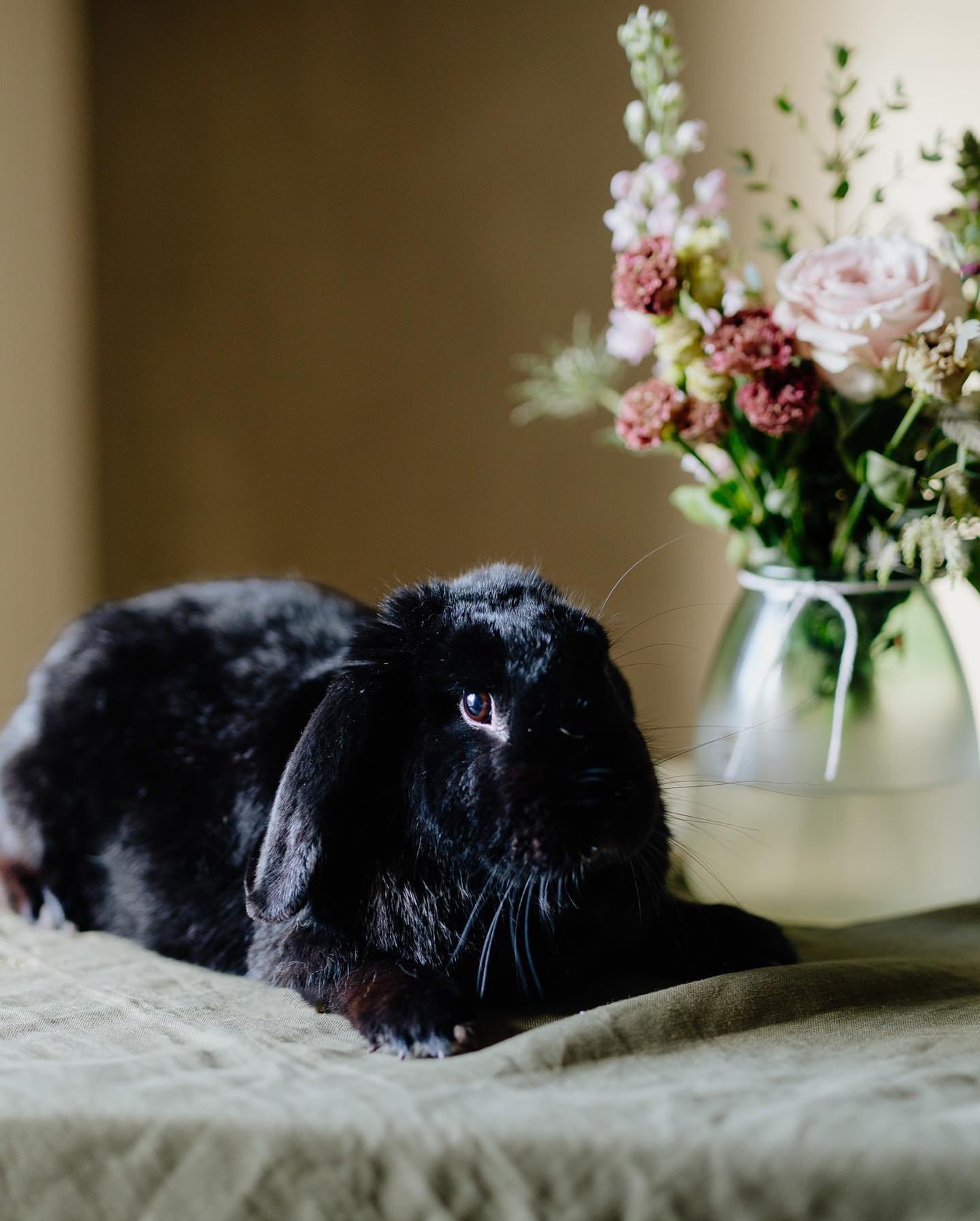 Here are a few photos of Jasper rabbit helping me in the studio to complete your Easter orders. 🐰 
Wishing everyone a lovely Easter weekend hoping it&rsquo;s restful and filled with chocolate.

Photo taken by the incredible @liamrimmingtonphoto

#fl