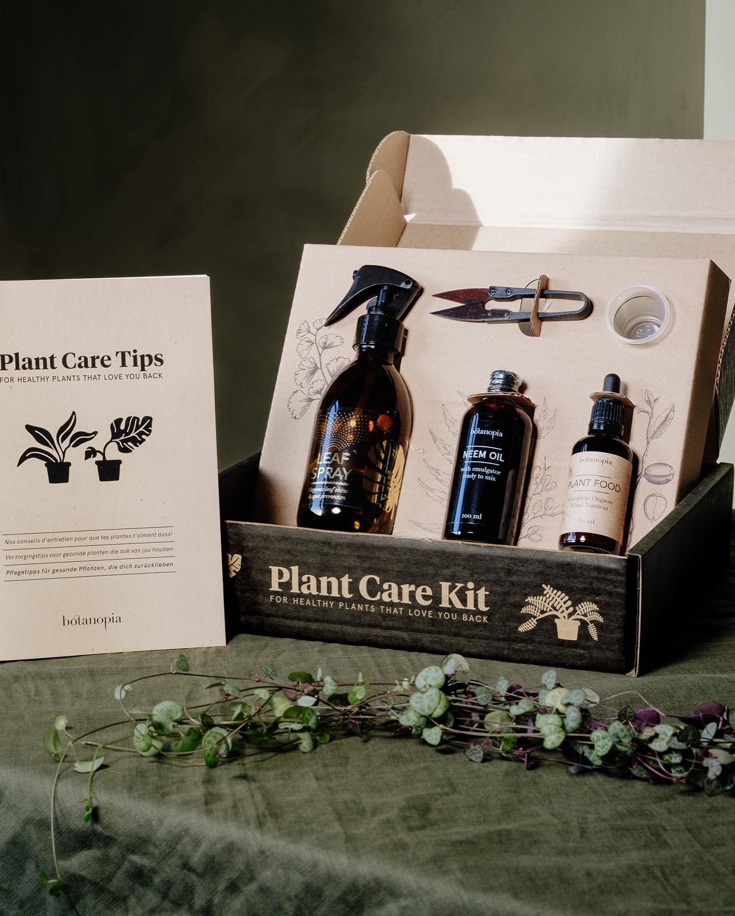 So what is your plant care routine ? 
the basics are water and maybe some positive words but there&rsquo;s a lot more you can do to make your indoor plants healthy plants.
It&rsquo;s spring so it&rsquo;s time to start treating your indoor jungle, we 