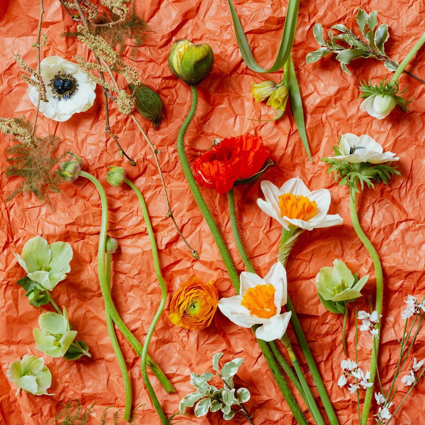 Beautiful shots of some of our favourite spring flowers. Crumpled paper and left over flowers a true florist floor treasure trove. 🍊 

#springflowers #sheffield #florist #shopsmall #independent #freshflower #floristfloor #speingfling #easter