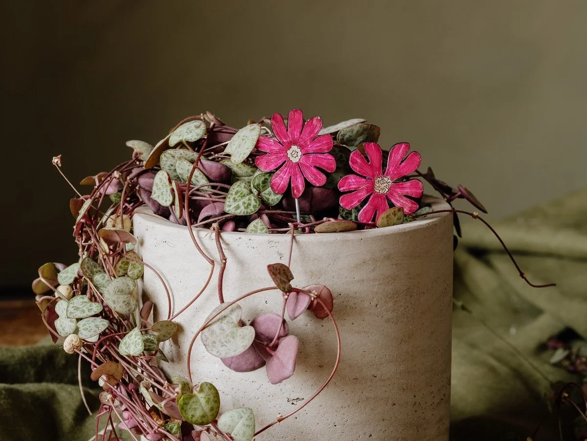 How cute are these flowery plant pot friends ? 🌸 

These are from @lily_faith_birds and we stock them in all sorts of designs from florals to woodland animals they are the perfect addition to your plants 🌱 

#shoplocalsheffield #sheffield #florist 