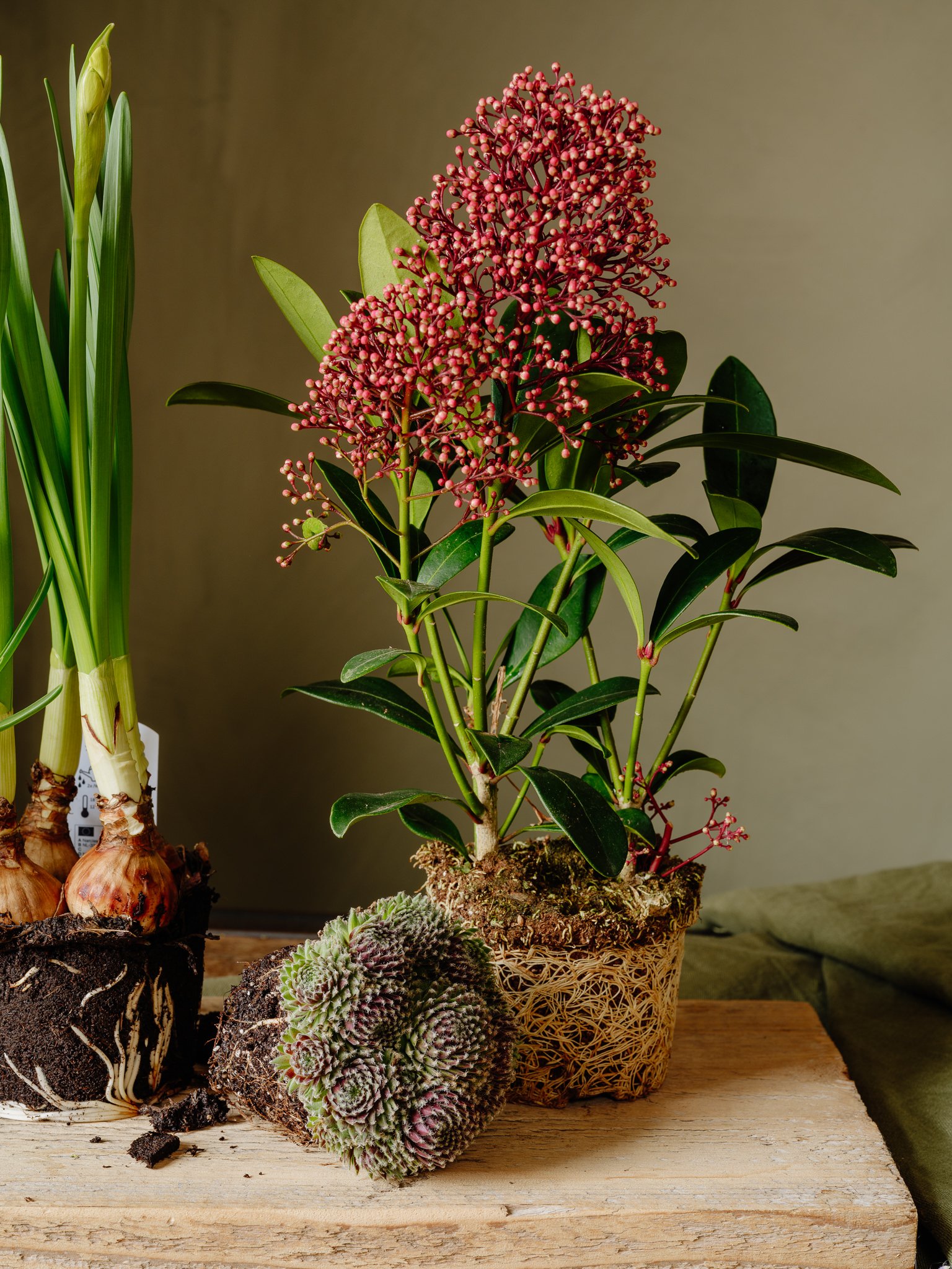 The Forrest - Spring 2025-19.jpg