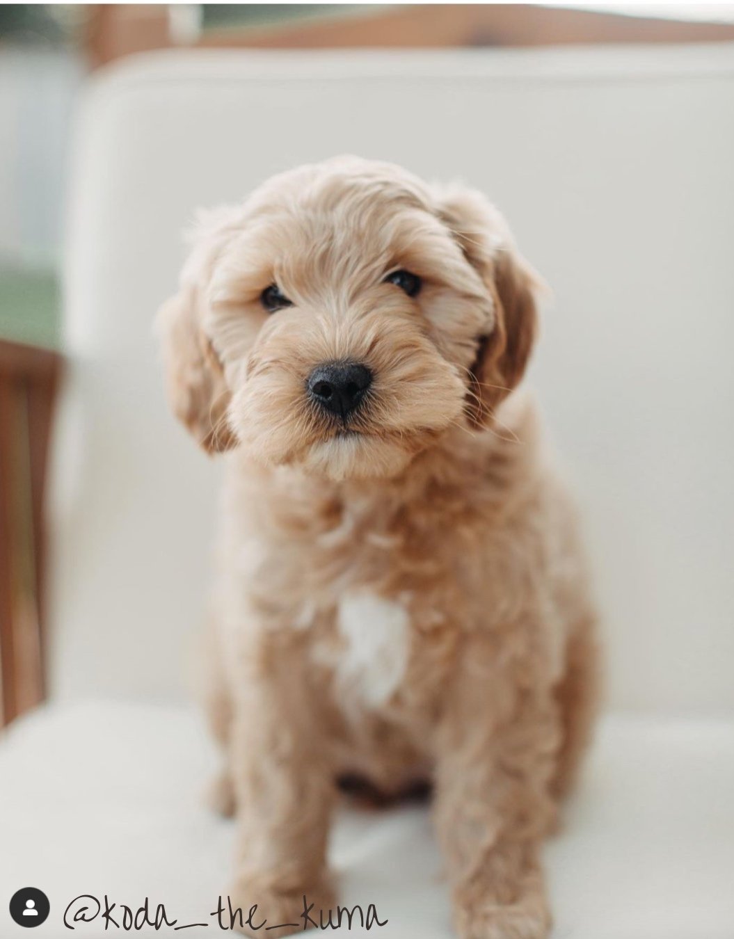 Your paragraph text copy.jpg