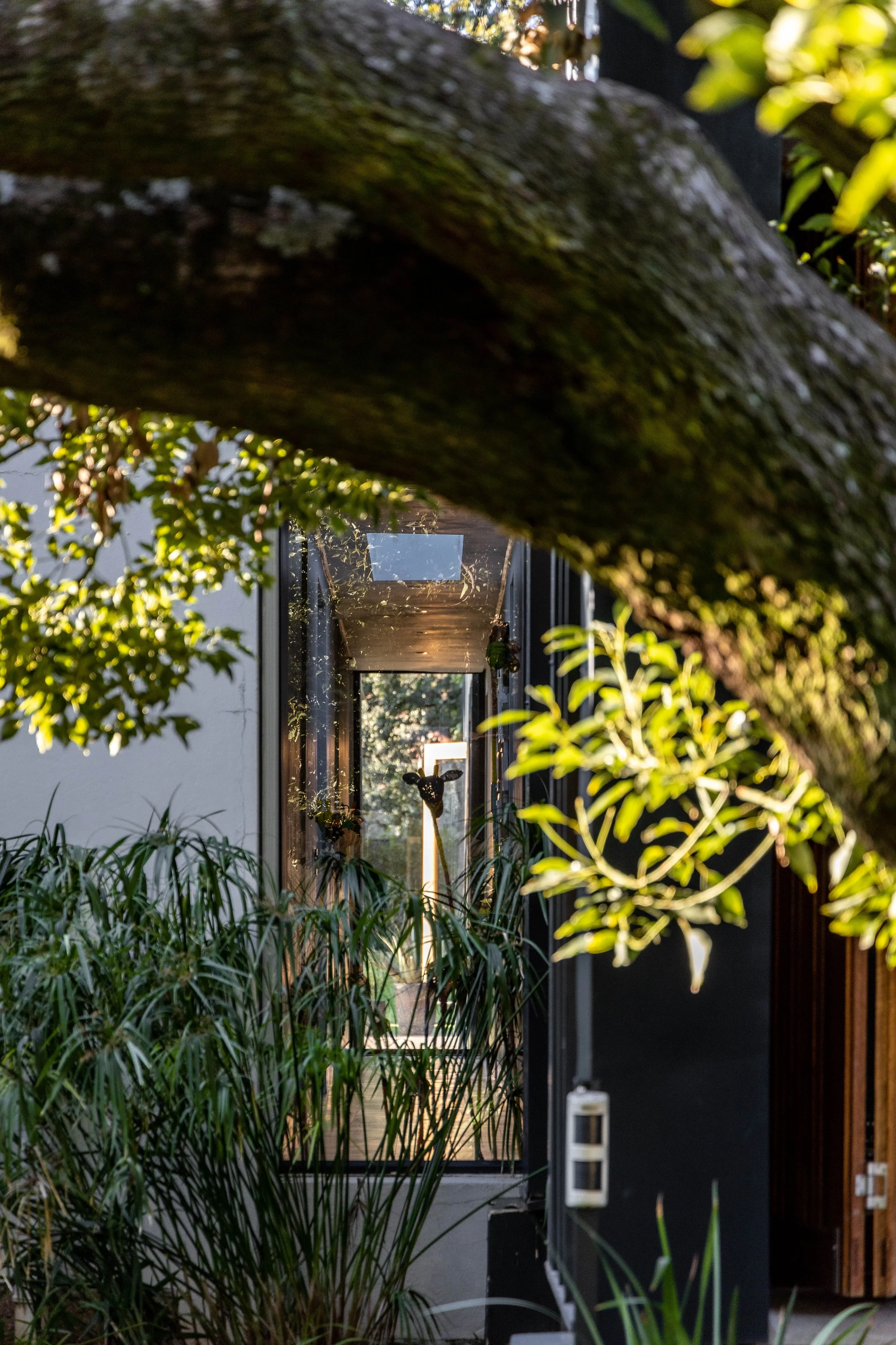 230314_FWD-KH_SAXONWOLD-68.jpg