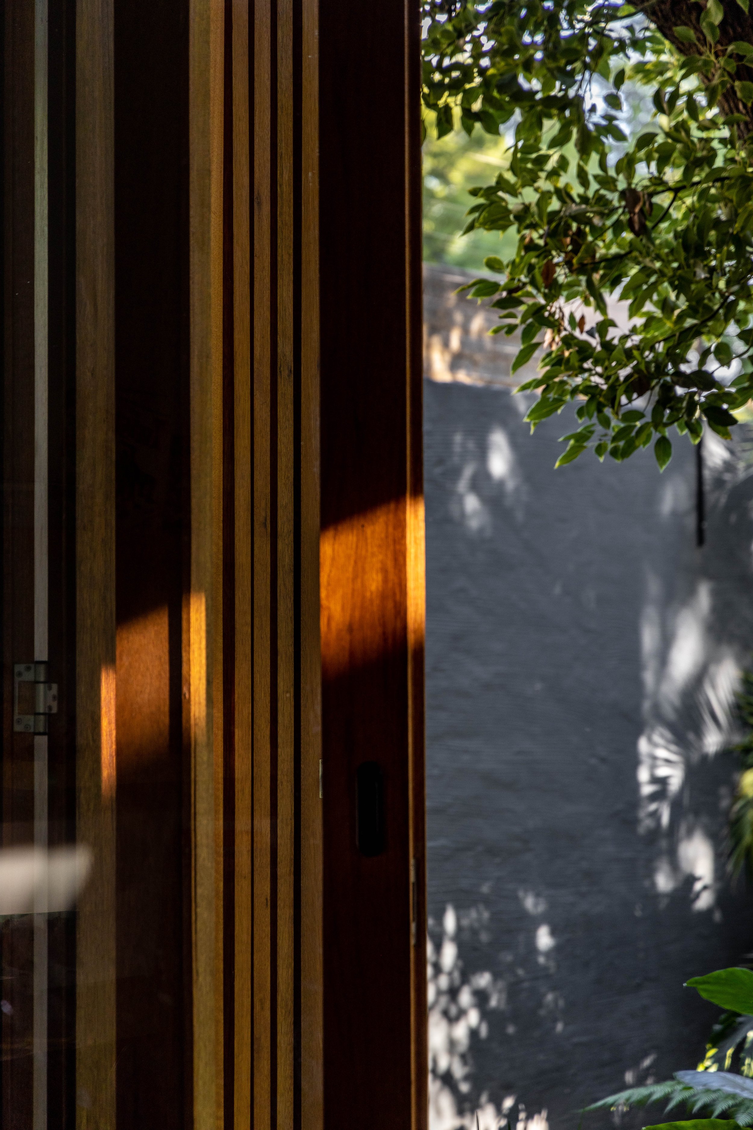 230314_FWD-KH_SAXONWOLD-45.jpg