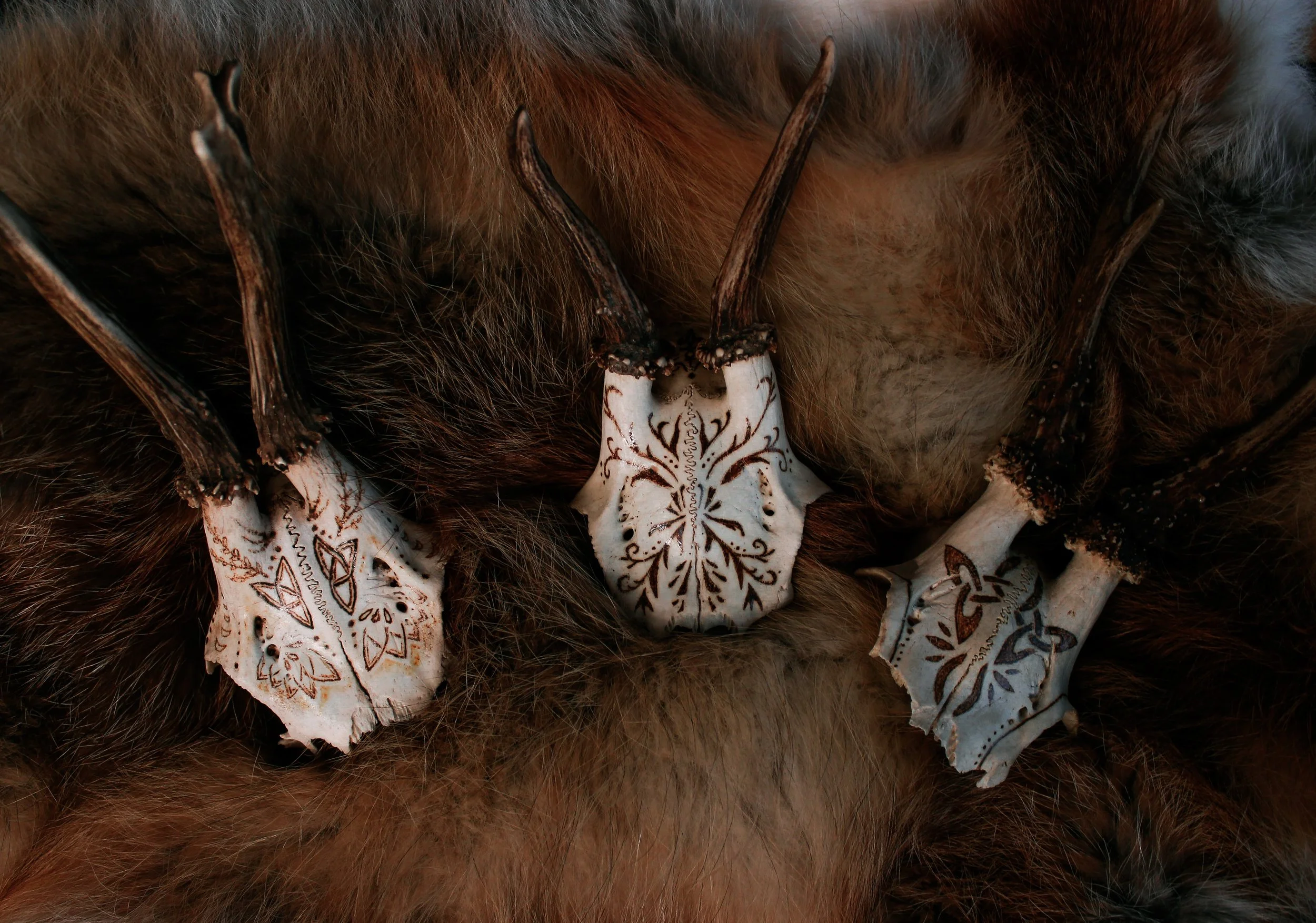 Rehschädel mit Brandmalerei