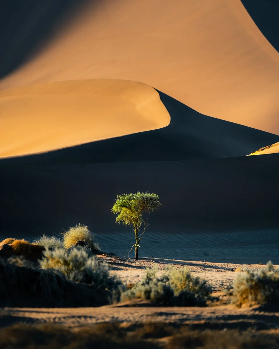 Long.Explorer Namibia7.jpg