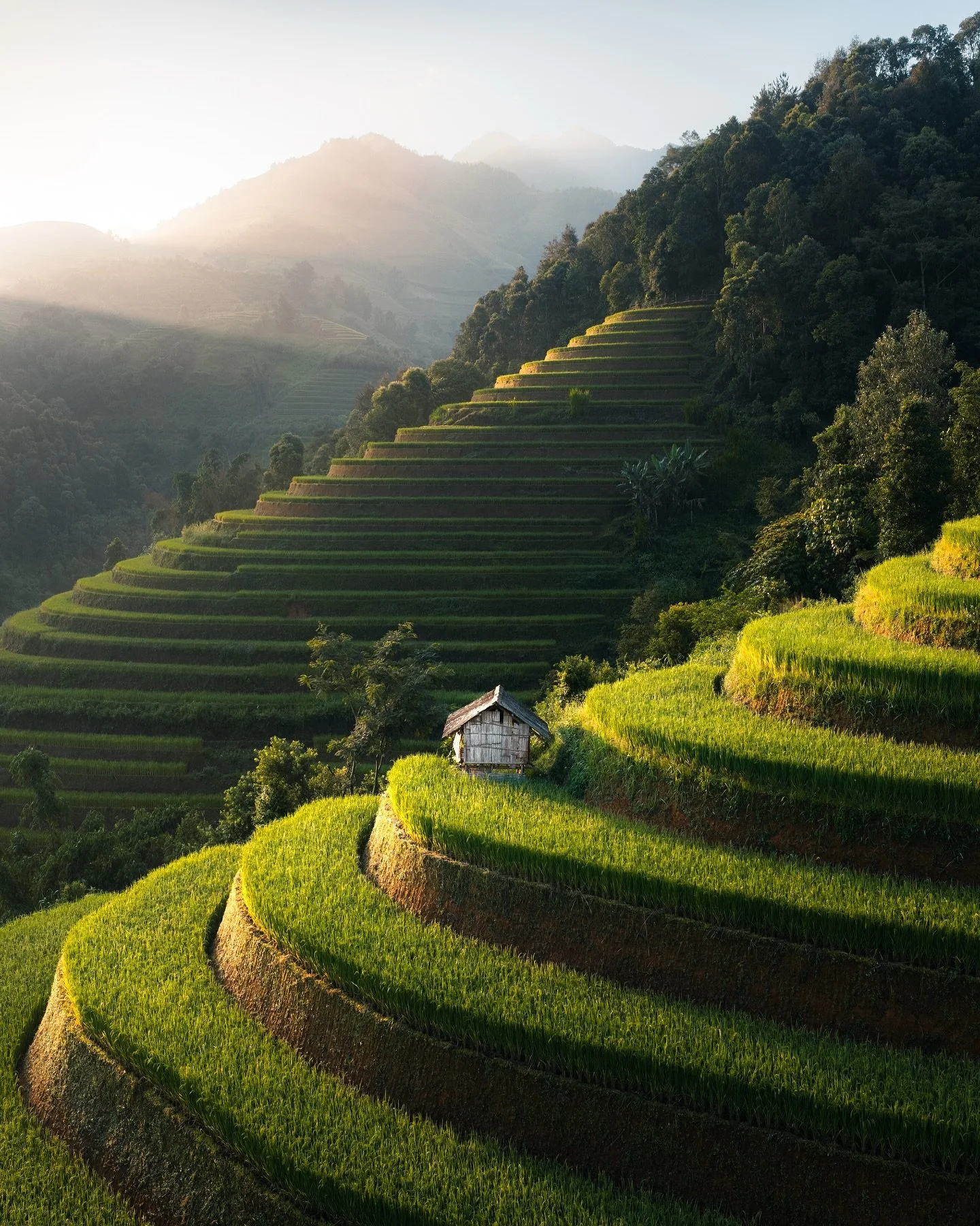 After the rainy season, it doesn&rsquo;t take long until the rice fields of Mu Cang Chai are harvested. On my trip to northern Vietnam I was really lucky to arrive just in time to capture the fields at their peak, with great weather and beautiful sun