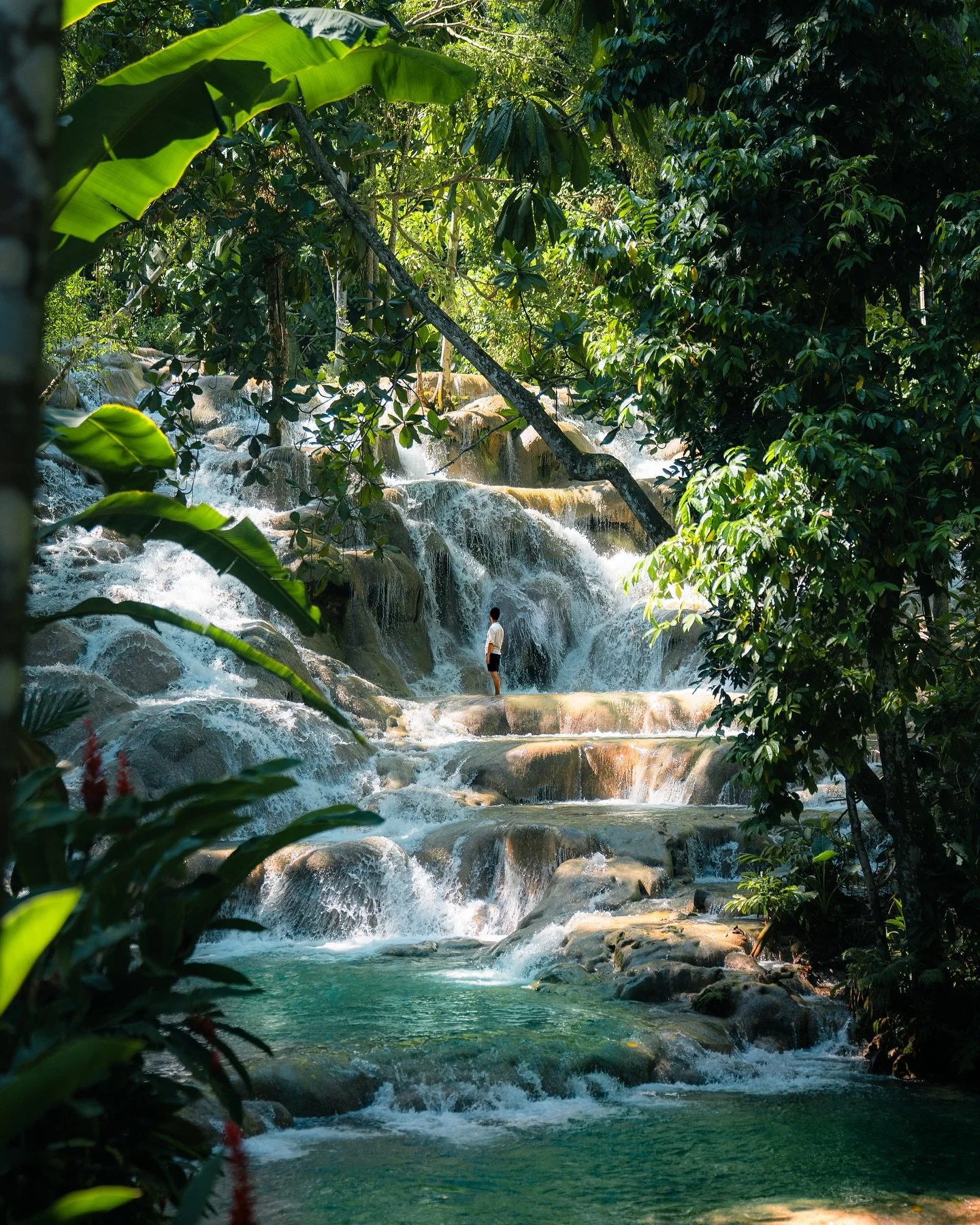 (Ad) First time in the Caribbean, I had the chance to visit Jamaica for a week with @dertour_de and @visitjamaica. We stayed at @iberostarrosehall, the perfect base to explore the surroundings and enjoy some relaxing days by the beach. With several r