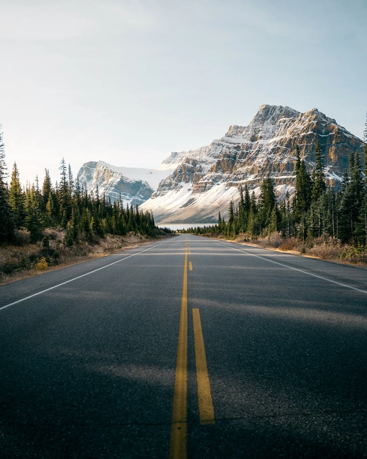 Free preset!
I started my broadcast channel today and thought it would be a nice idea to give away one of my newest and favorite Lightroom presets. Join the channel to download the preset directly from there. In the channel, I&rsquo;ll regularly shar