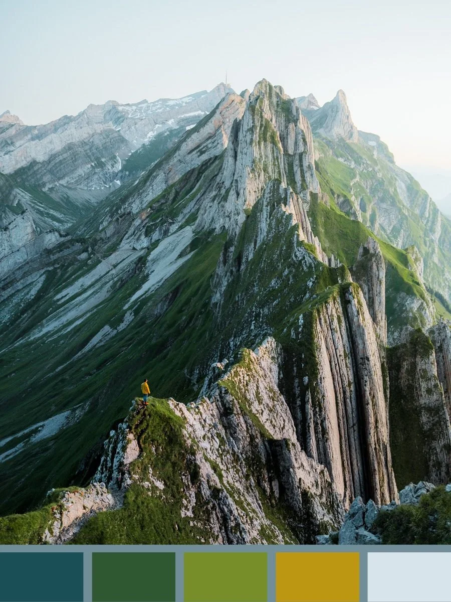 10. Alpine Meadow.jpg