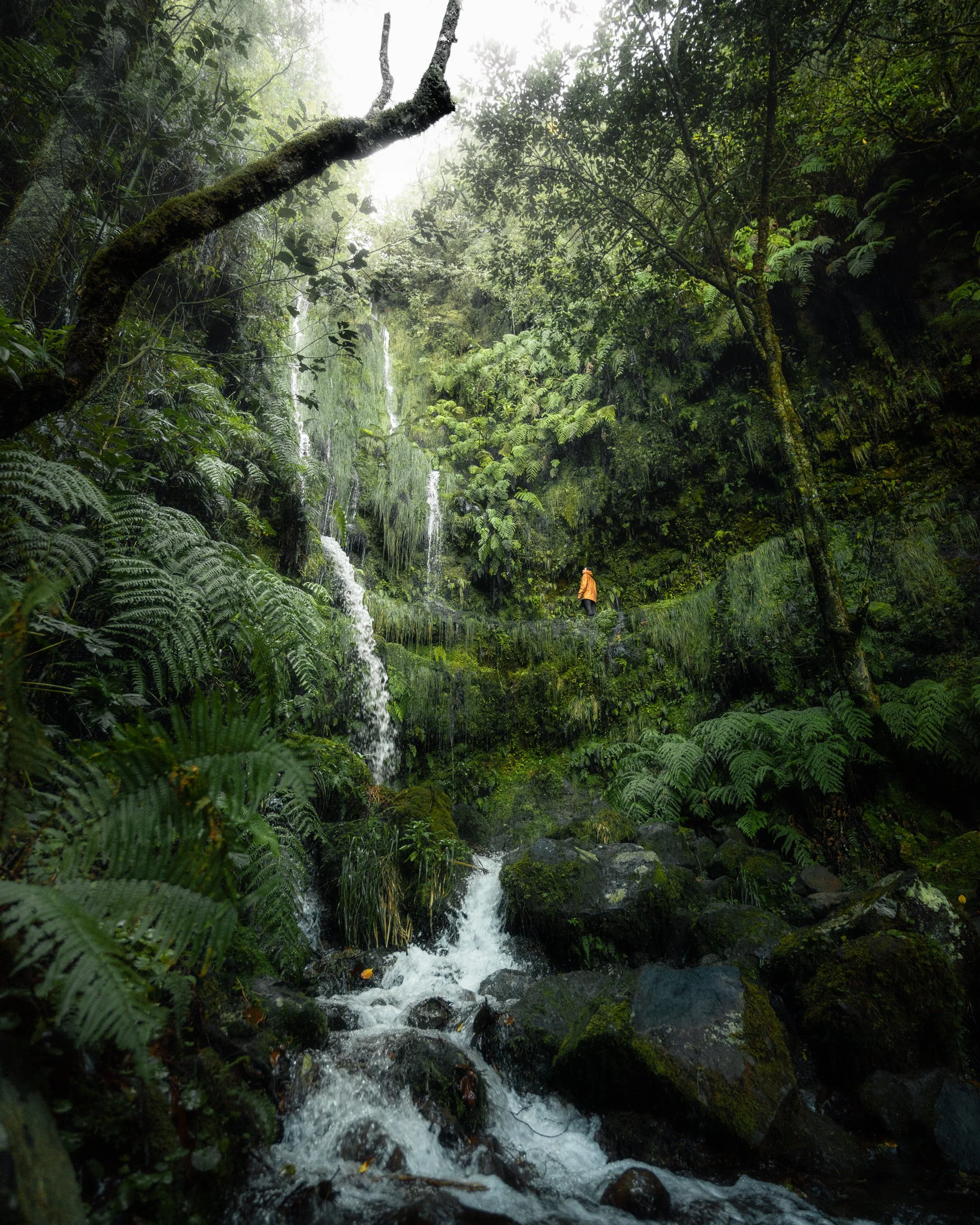 Long.explorer Long-Nong Huang Madeira 10.jpg