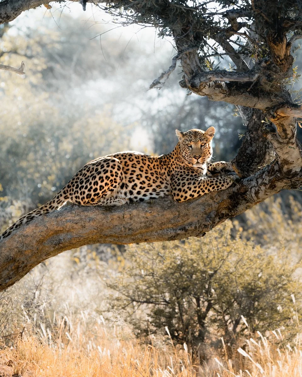 Long.Explorer Namibia3.jpg