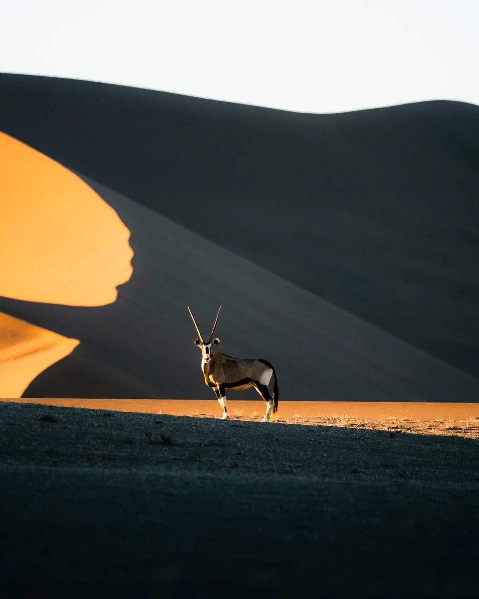 Long.Explorer Namibia8.jpg