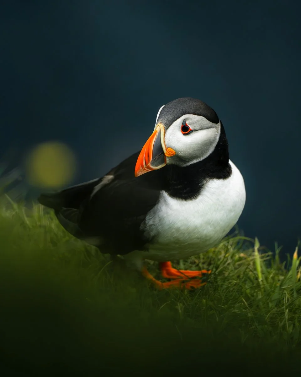 Long.explorer Faroe Islands 3.jpg