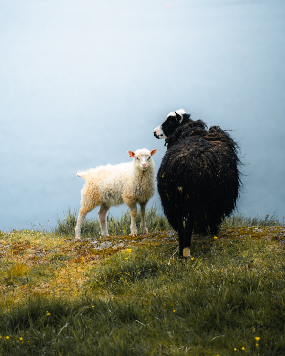 Long.explorer Faroe Islands 6.jpg