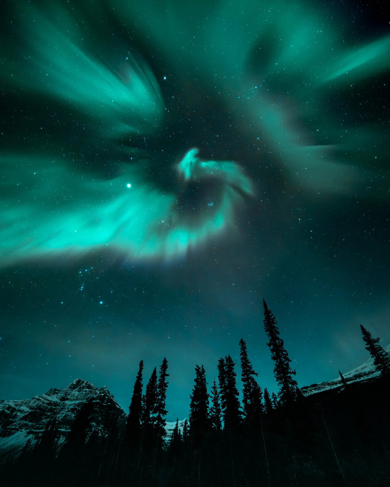 Long.Explorer Long-Nong Huang Canada 8.jpg