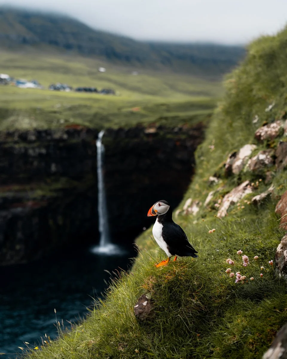 Long.explorer Faroe Islands 2.jpg