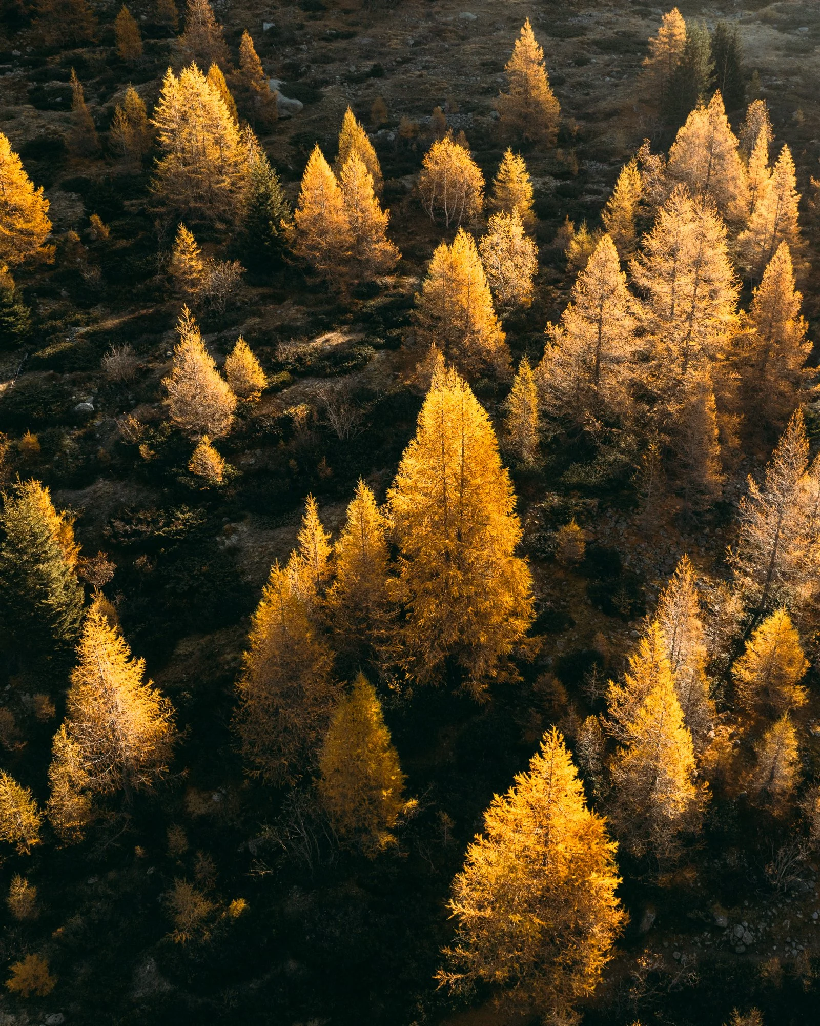 Long.Explorer Long-Nong Huang Alps 00015.jpg