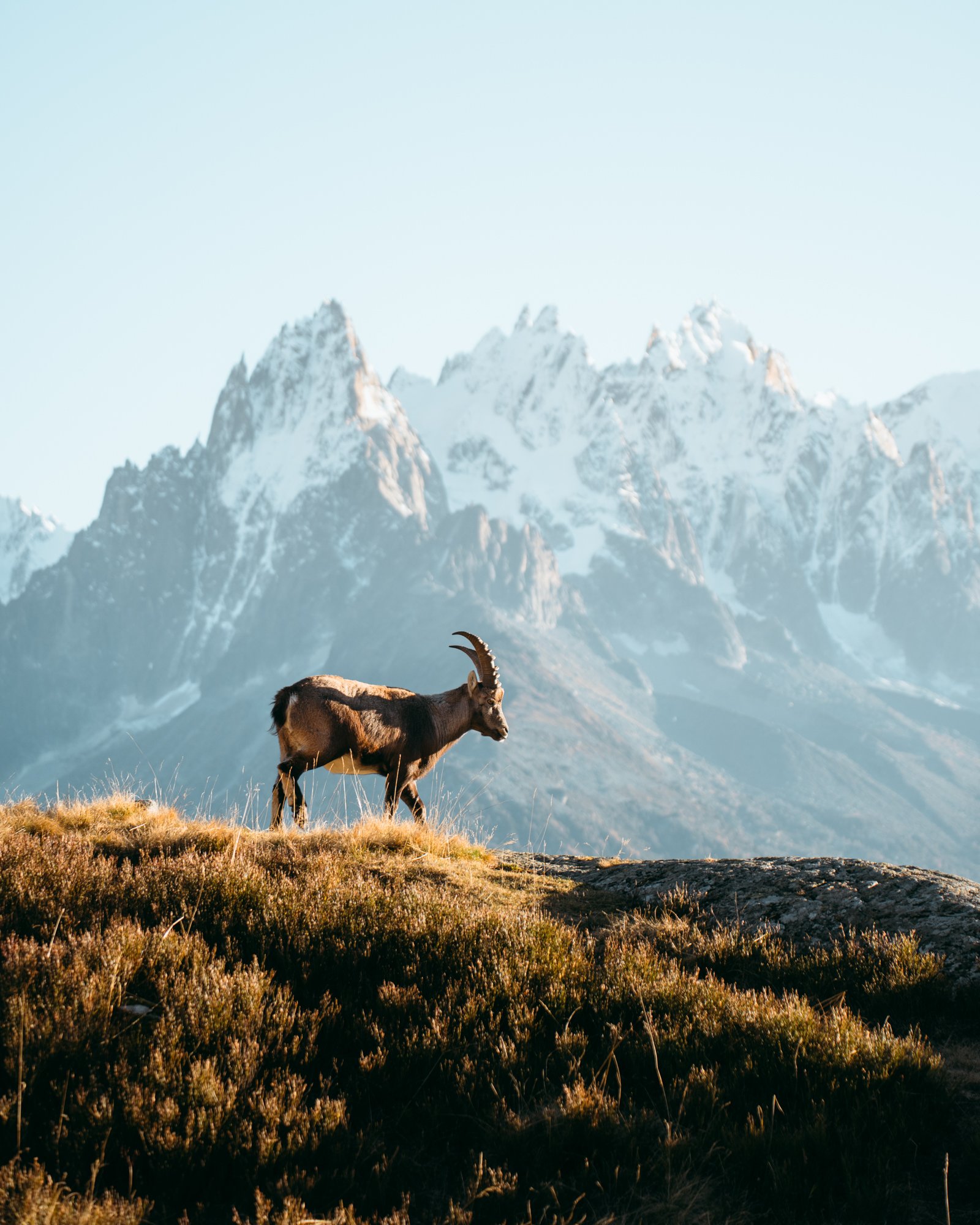 Long.Explorer Long-Nong Huang Alps 00010.jpg