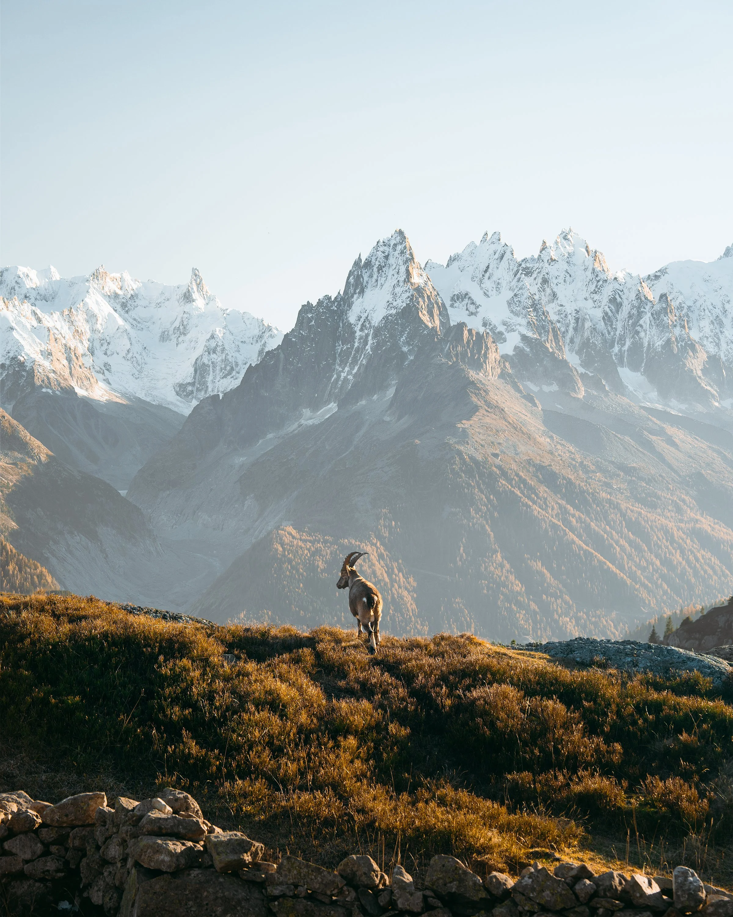 Long.Explorer Long-Nong Huang Alps 00004.jpg