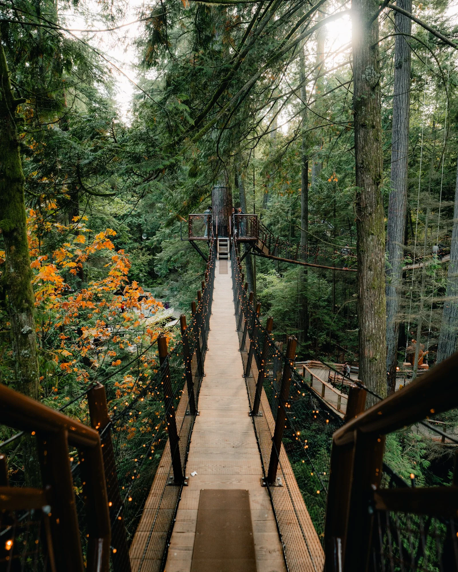 Long.Explorer Long-Nong Huang Canada 1.jpg