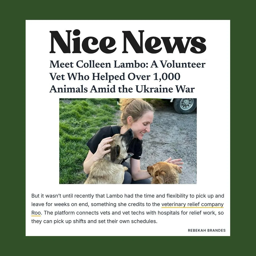 Meet @roodotvet&rsquo;s relief vet @nomadicdvm ! Dr. Lambo&rsquo;s incredible volunteer work saving the lives of animals abandoned in the war in Ukraine is made possible by the flexible schedule she&rsquo;s able to create through Roo. A huge thank yo