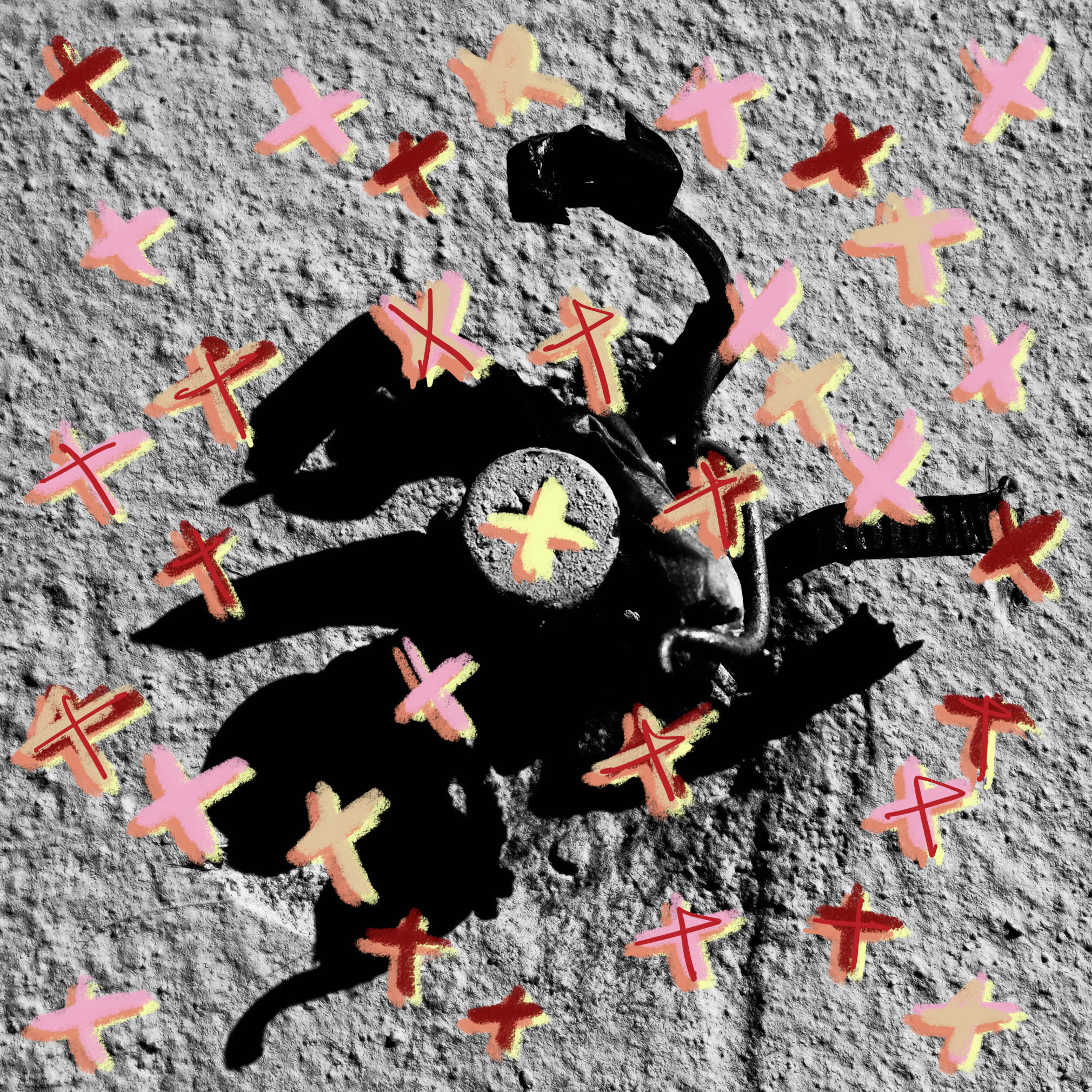DSC00338.png