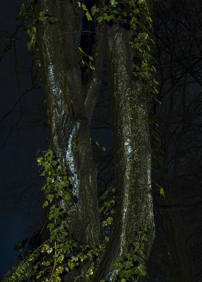 After Hours _#3.jpg