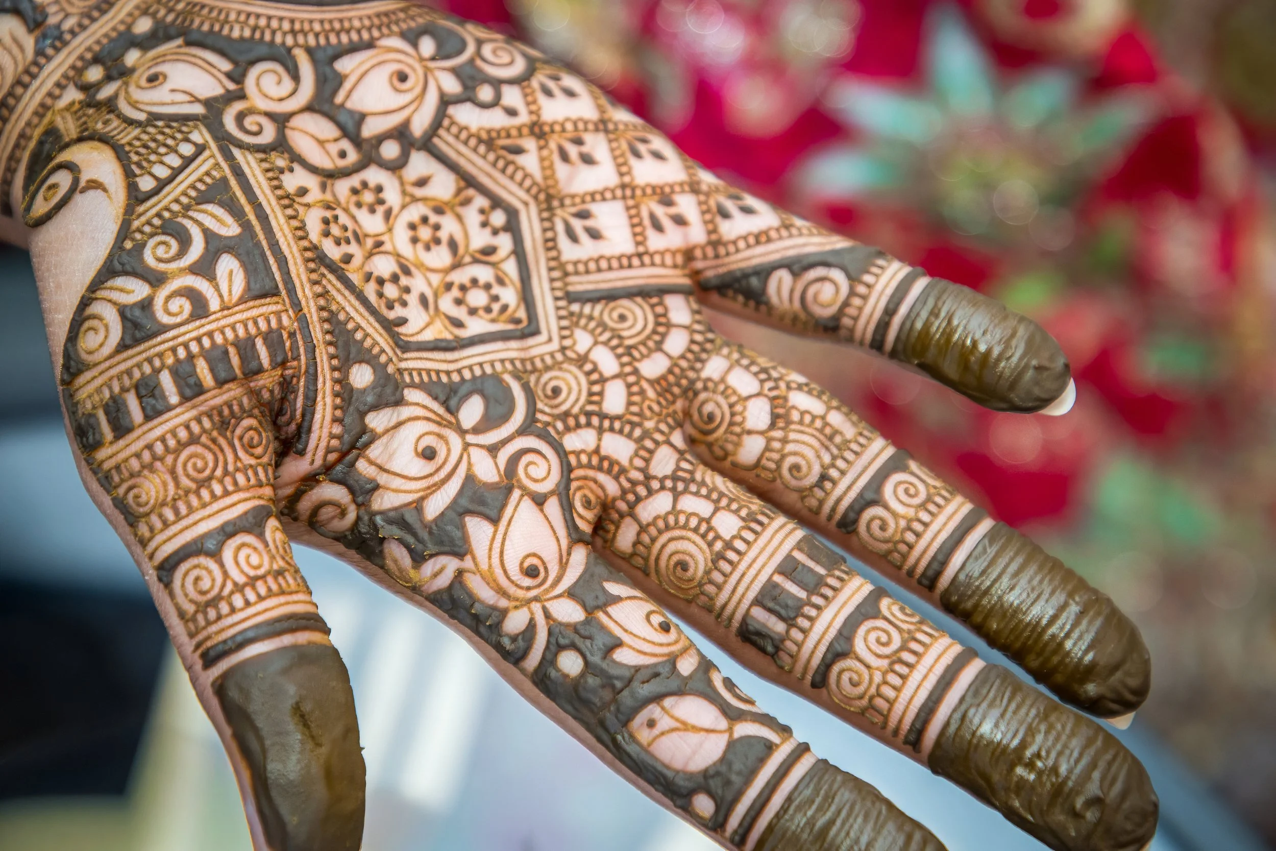 Surbhi and Dale’s Beautiful Mehndi Celebration