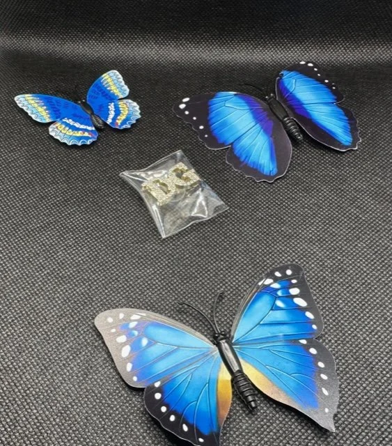 Small DG(Dolce Gabbana) Jibbits