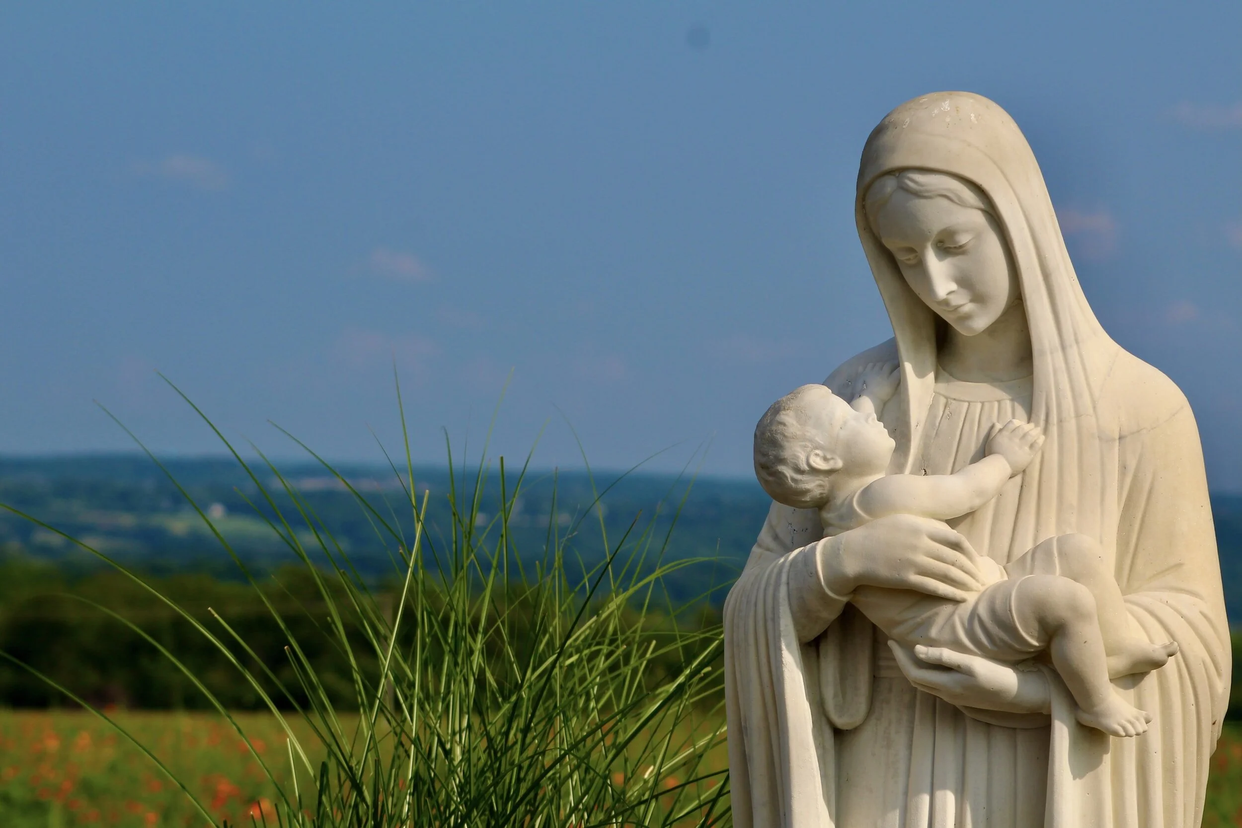 Photo Gallery — Our Lady of Divine Providence
