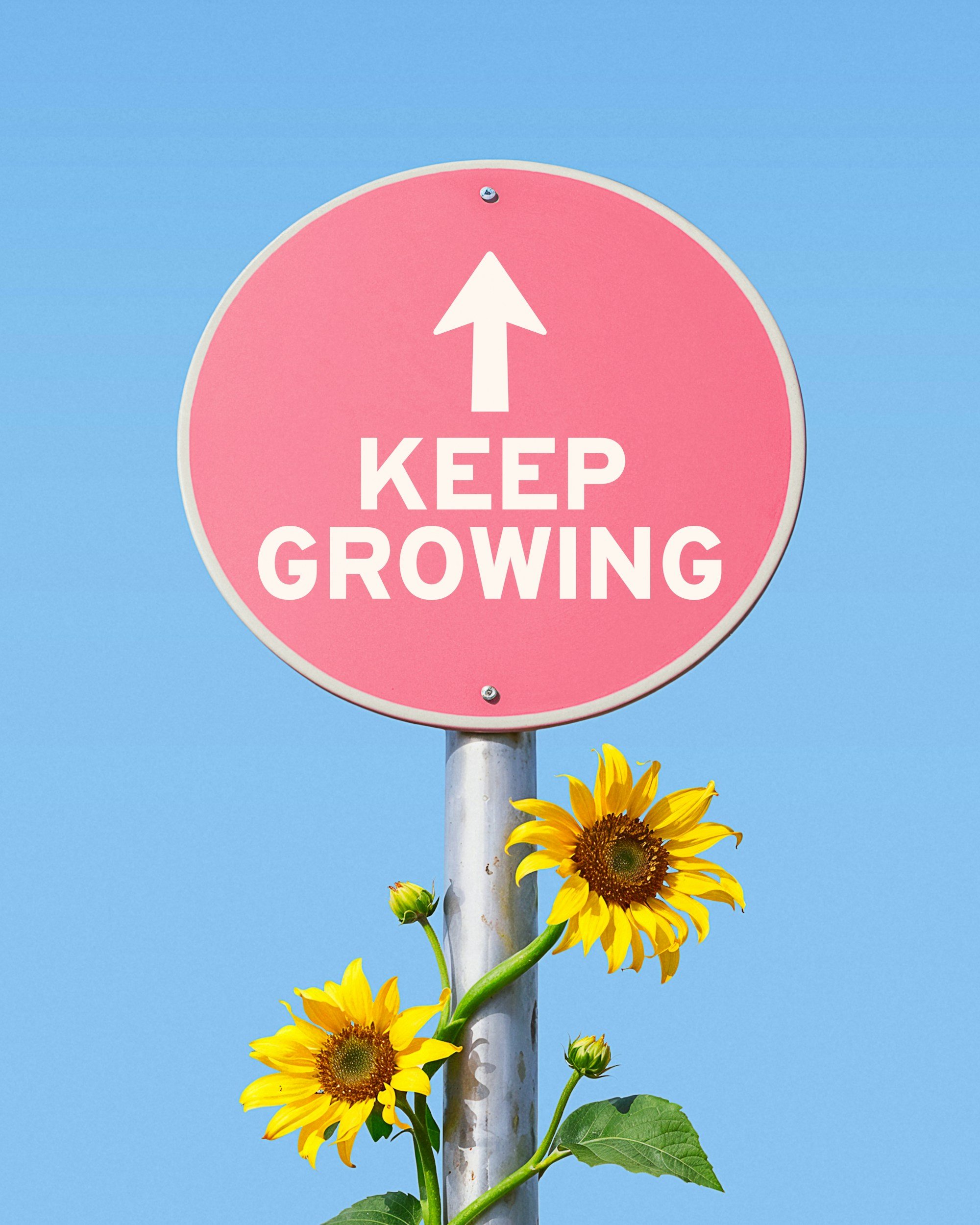 Self-Improvement