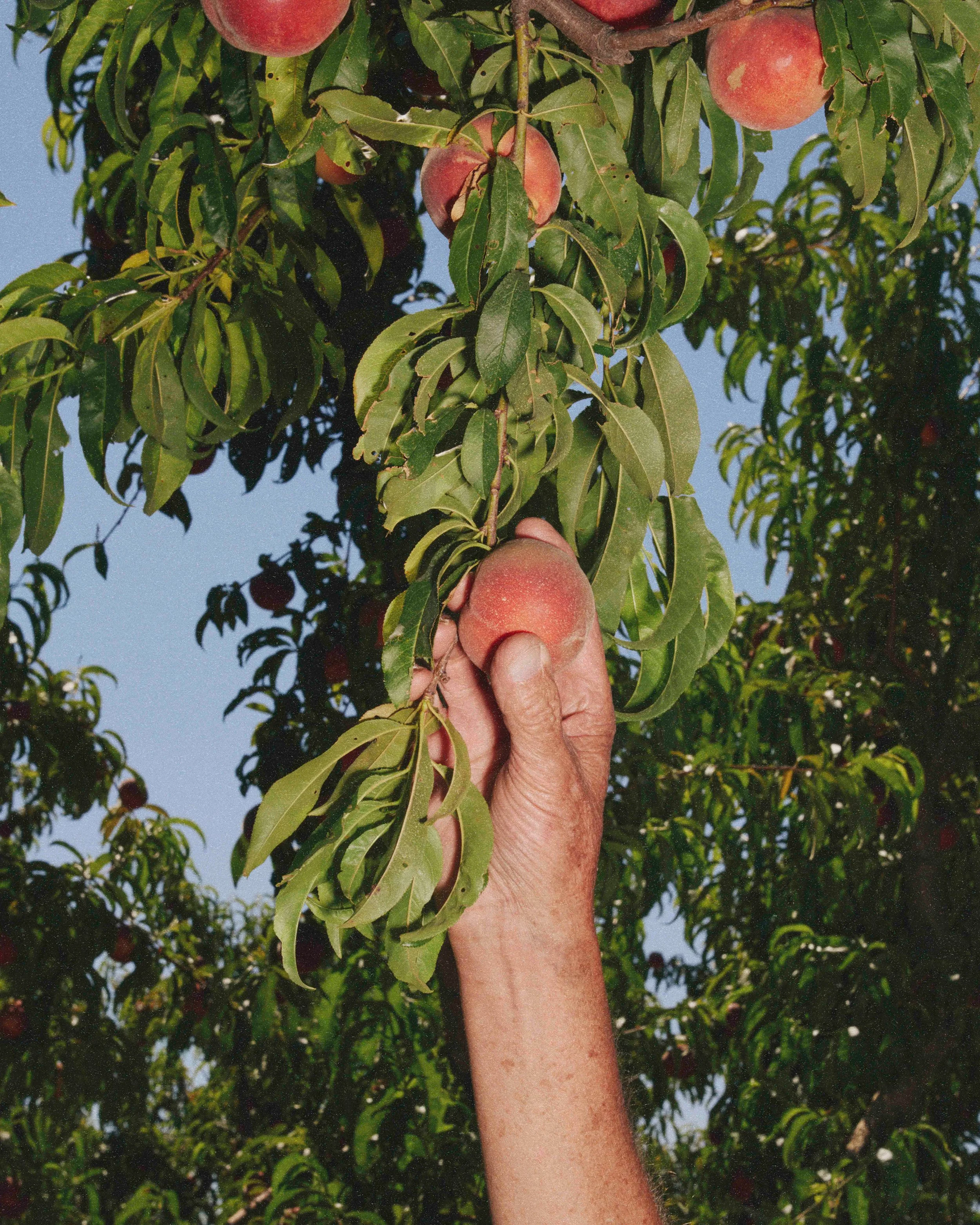 90.jpg