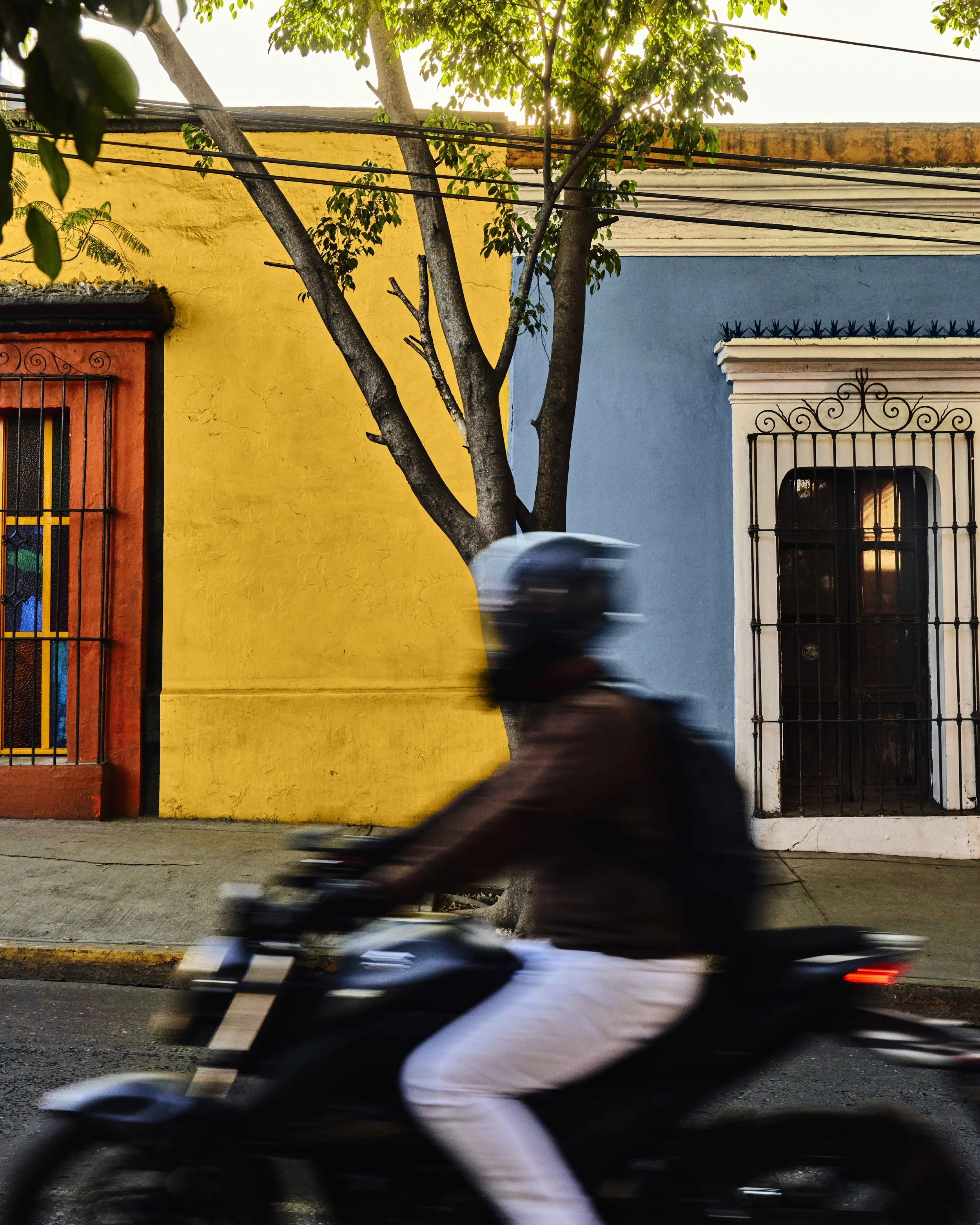 2024_WillNielsen_Oaxaca_ 687-Recovered-Recovered.jpg