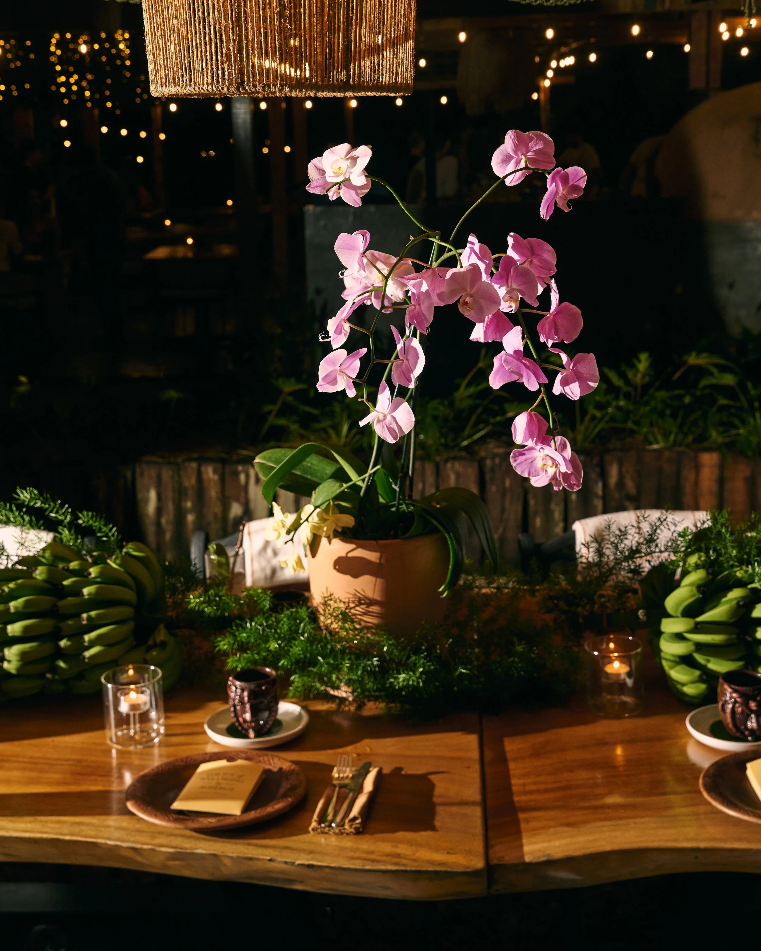 2025_ALG_WillNielsen_ 1125.jpg